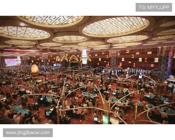 探秘金都国际赌场:奢华体验与刺激游戏的完美结合